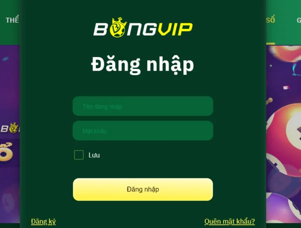 Đăng nhập sau khi hoàn tất đăng ký bongvip để bắt đầu cá cược