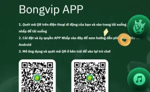 Lỗi tải app bongvip cụ thể có cách xử lý khác nhau